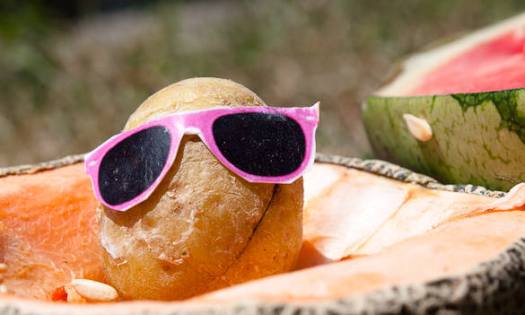 Kartoffel mit Sonnenbrille