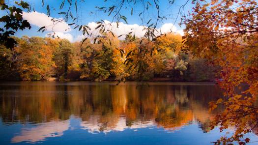 Herbstlicher Wald spiegelt sich in einem See