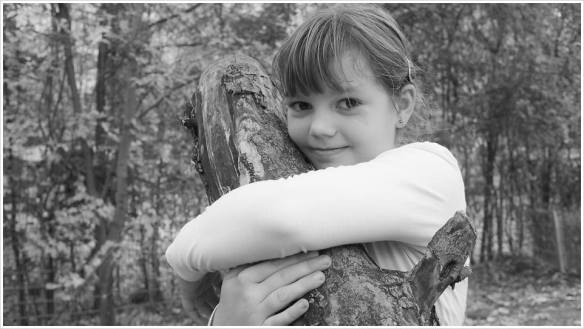 Pferde brauchen Zuwendung - Foto: h|b