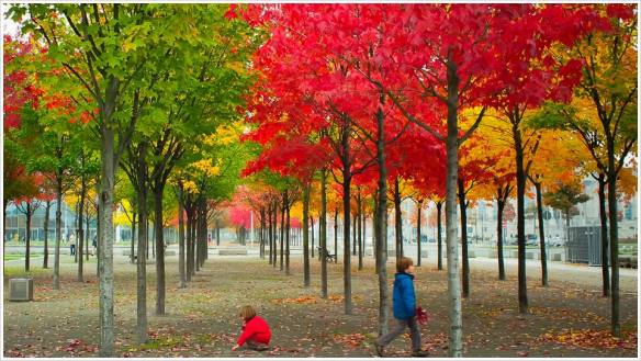 Herbstliches Farbenspiel - Foto: h|b