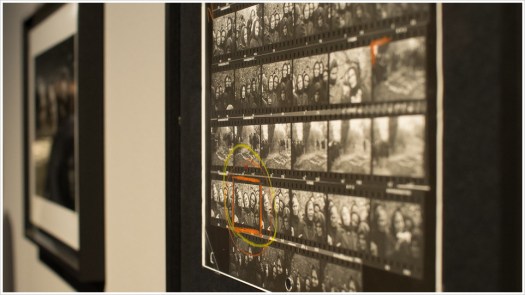 Die Auswahl des besten Bildes mittels Textmarker auf dem Kontaktbogen - Foto: h|b