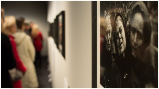 Das ausgewählte Bild im Großformat - Foto: h|b