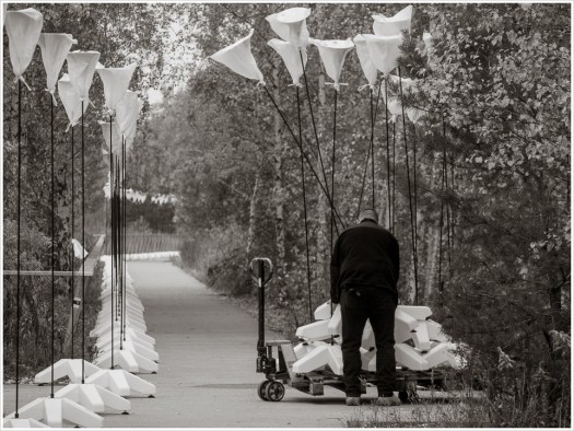 Die "Grenze" entsteht - Foto: h|b