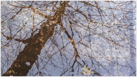 Wasser ist ein Lebenselexier - Foto: h|b