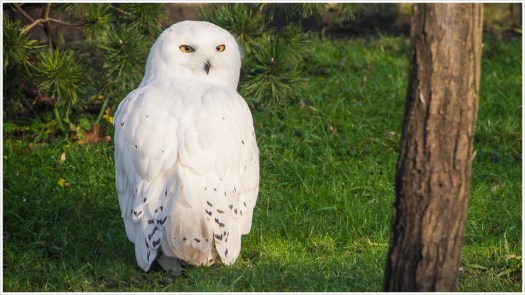 Ich.Sehe.Dich - Foto: h|b