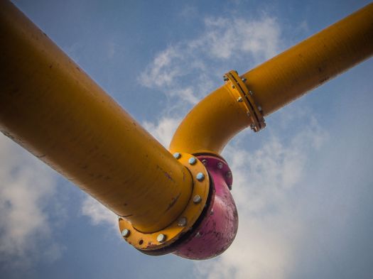 Drei Farben - Foto: h|b