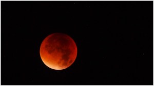 Blutmond am Himmel von Berlin