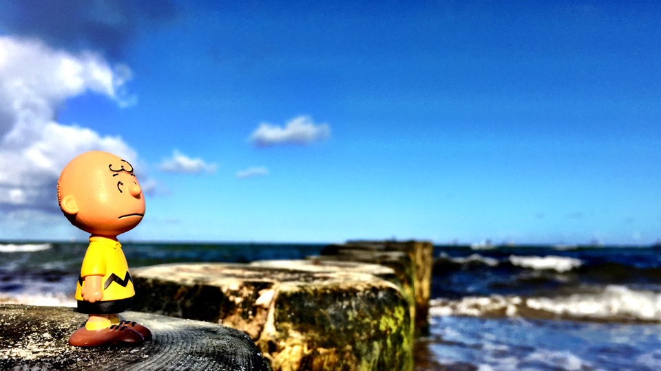 Charlie Brown auf einem Wellenbrecher an der Ostsee