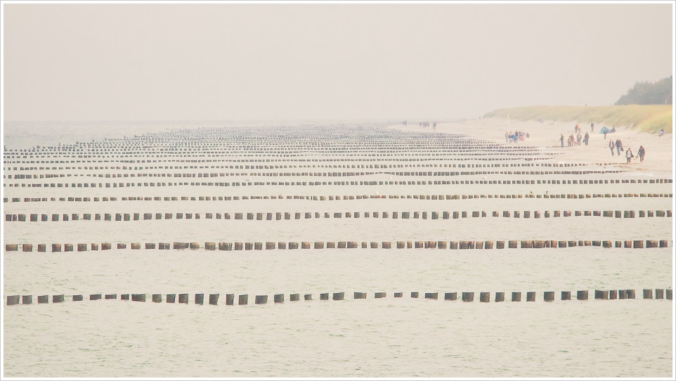 Wellenbrecher in Zingst