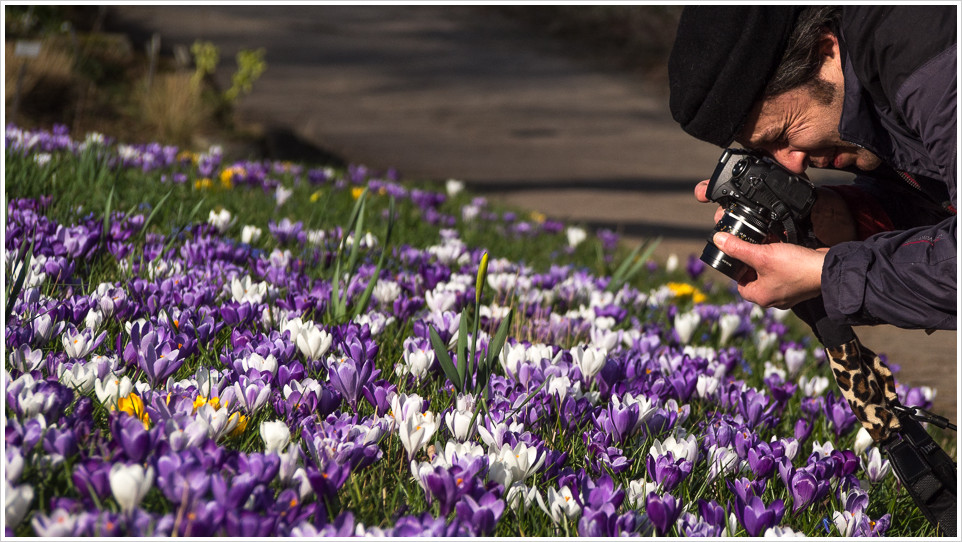 Fotograf beim fotografieren von Blumen