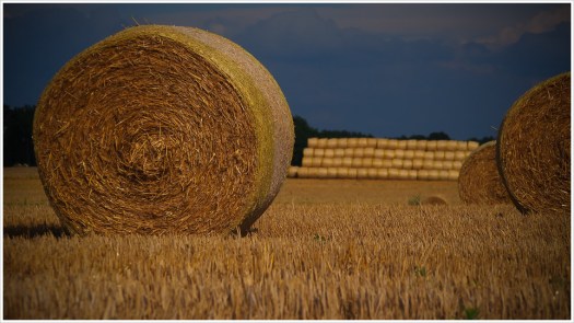 Strohrollendepot - Foto: h|b