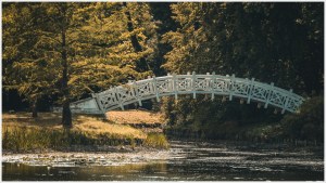 Weiße Brücke, Wörlitzer Brücke