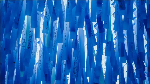 Visions in Motion / Patrick Shearn - Foto: h|b