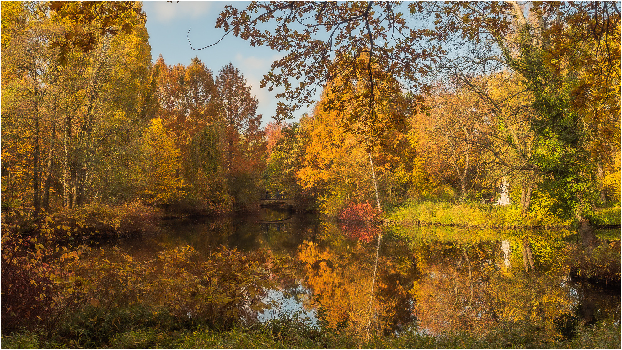 Herbstlicher Tiergarten in Berlin - Foto: h|b