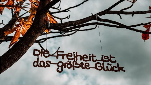 Zitate