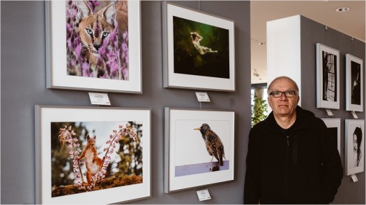 Fotoausstellung mit Fotograf