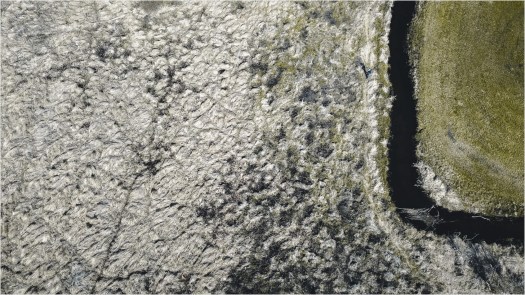 Tegeler Fließ aus Drohnensicht