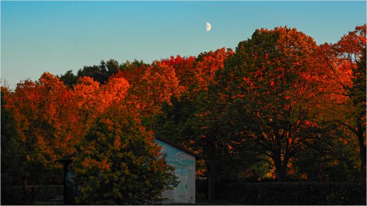 Mondaufgang über Herbstwald