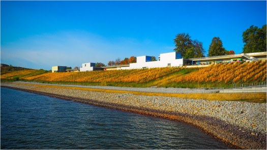 Weinberge an den IBA-Terrassen
