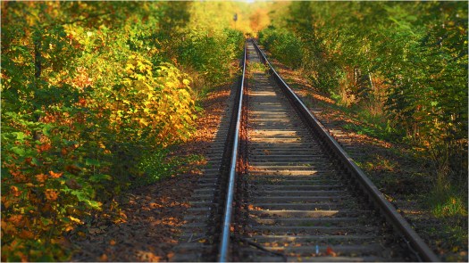 Schienen im Herbst