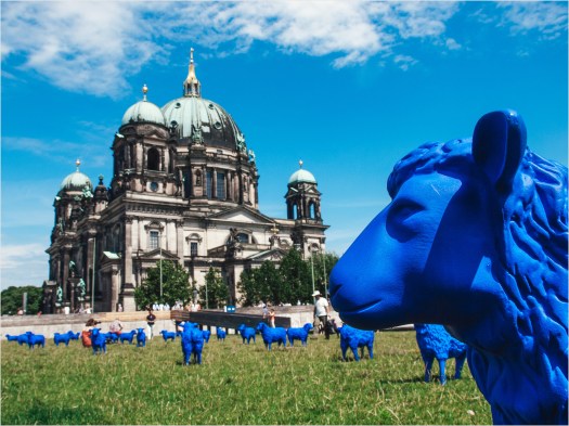 Schafe vor Dom in Berlin