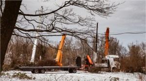 Kräne im Spreepark Berlin