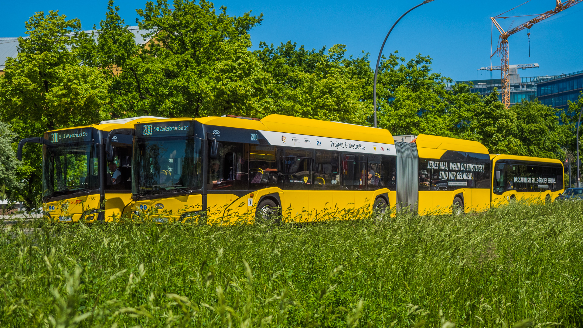 Gelbe Busse der BVG in Berlin