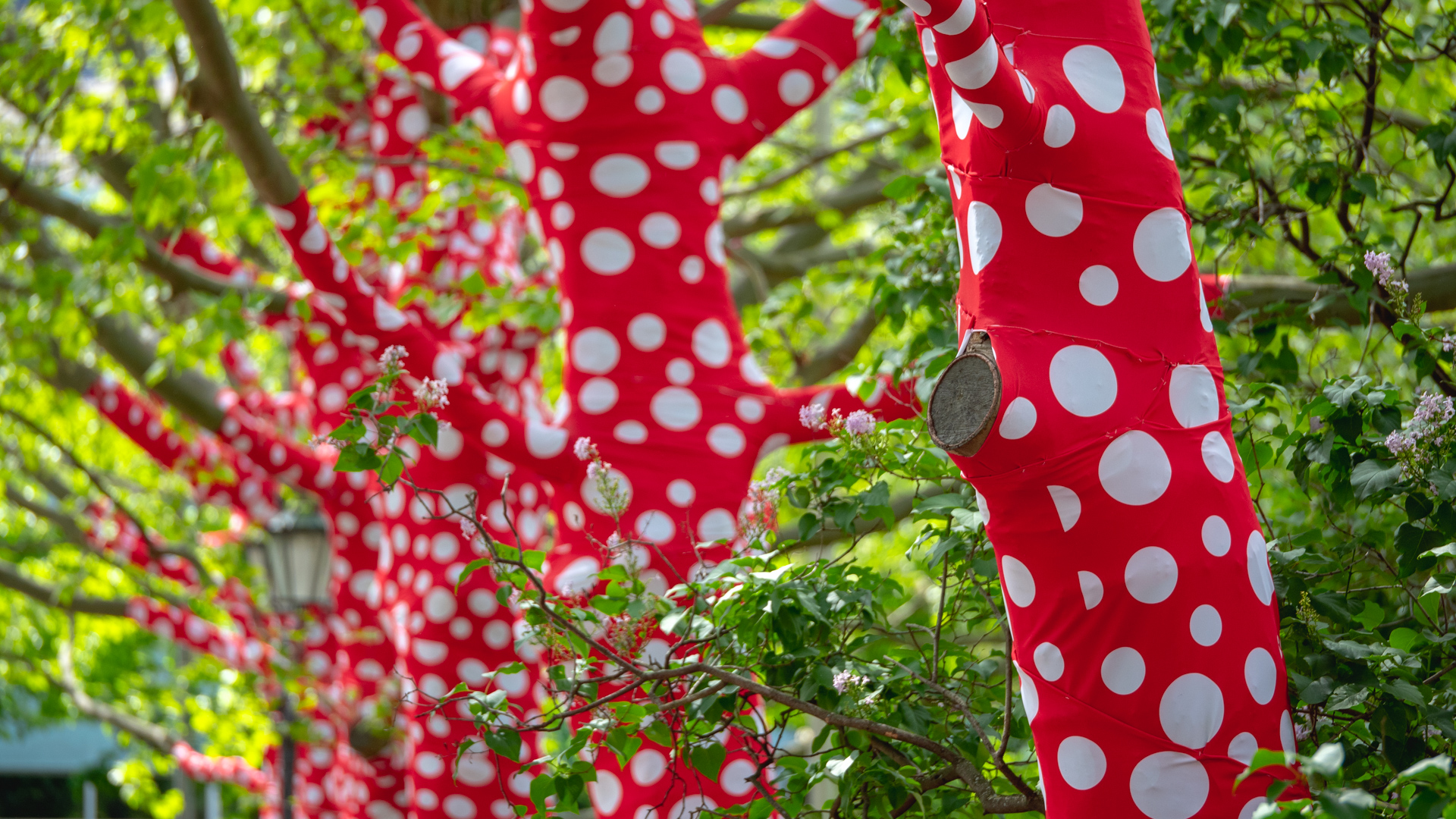 Bäume umhüllt von rotem Stoff mit weißen Punkten