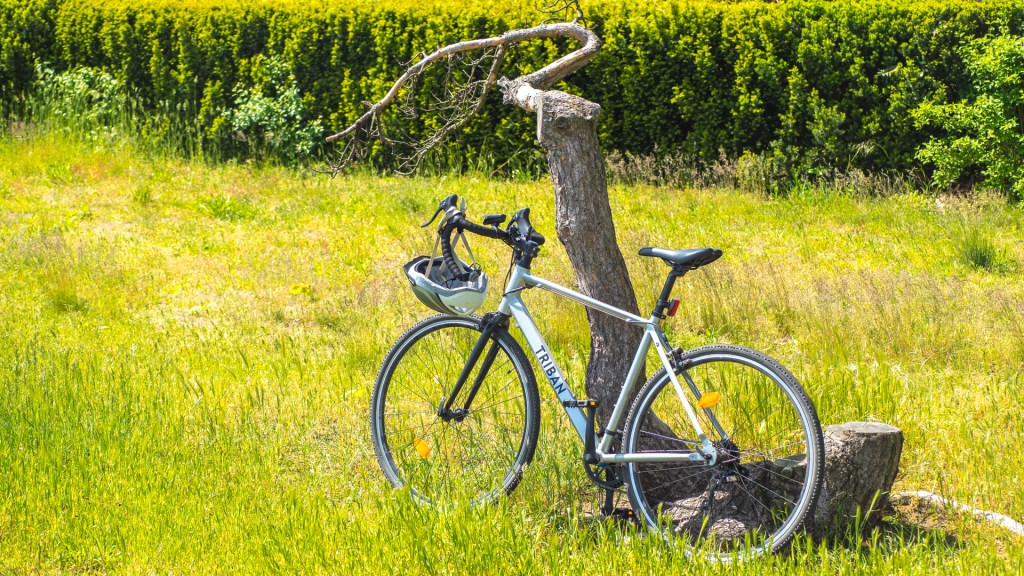 Rennrad steht an einem Baum