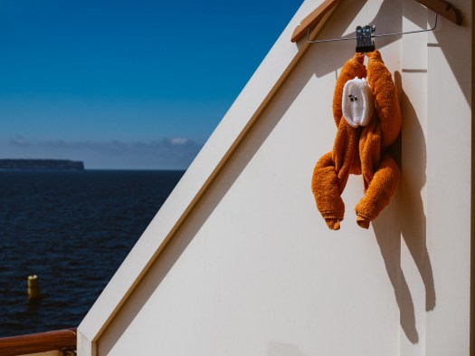 Handtuchaffe auf dem Balkon der AIDAsol