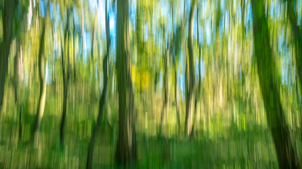 Grüner Wald, verwischt