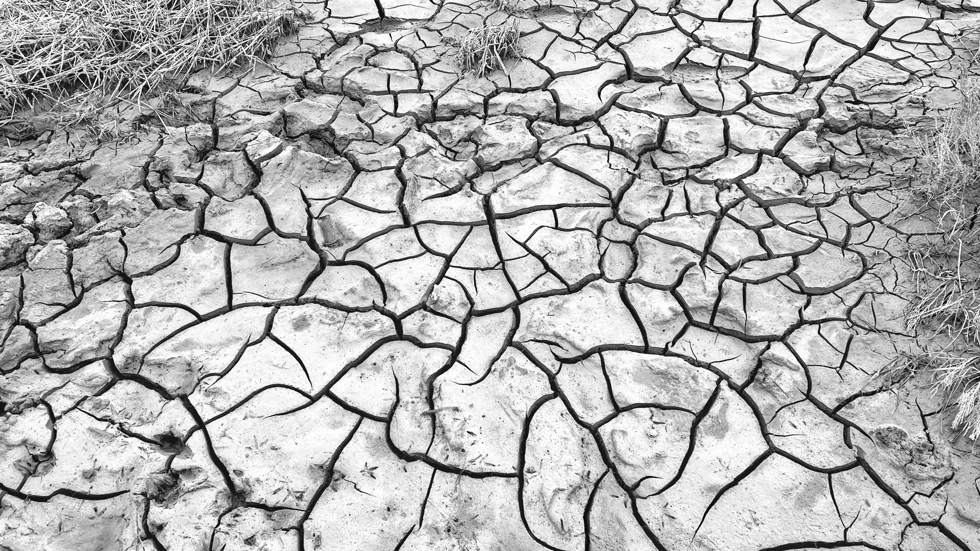 Aufgeplatzter Boden im Nordseewatt