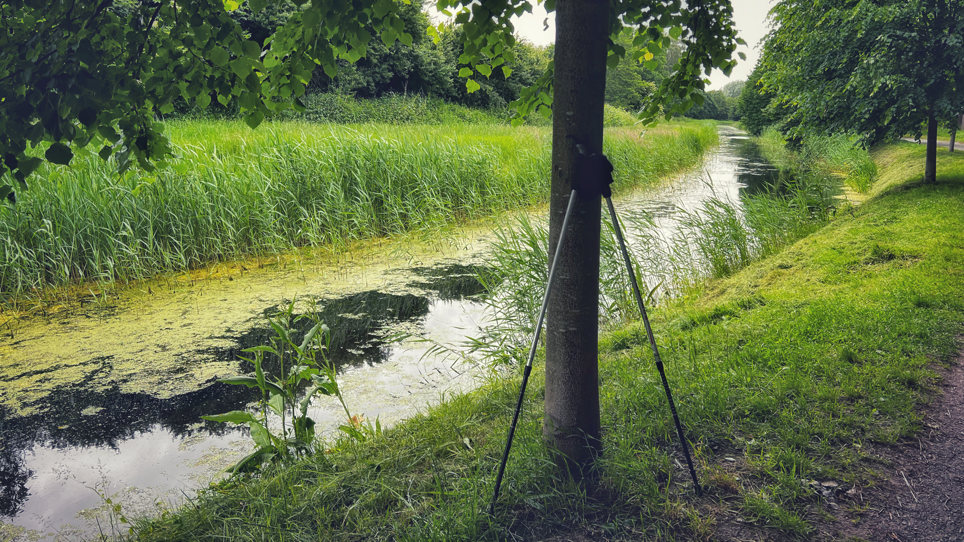 Zwie Walkingstöcke lehnen an einem Baum vor einem kleinen Fluß