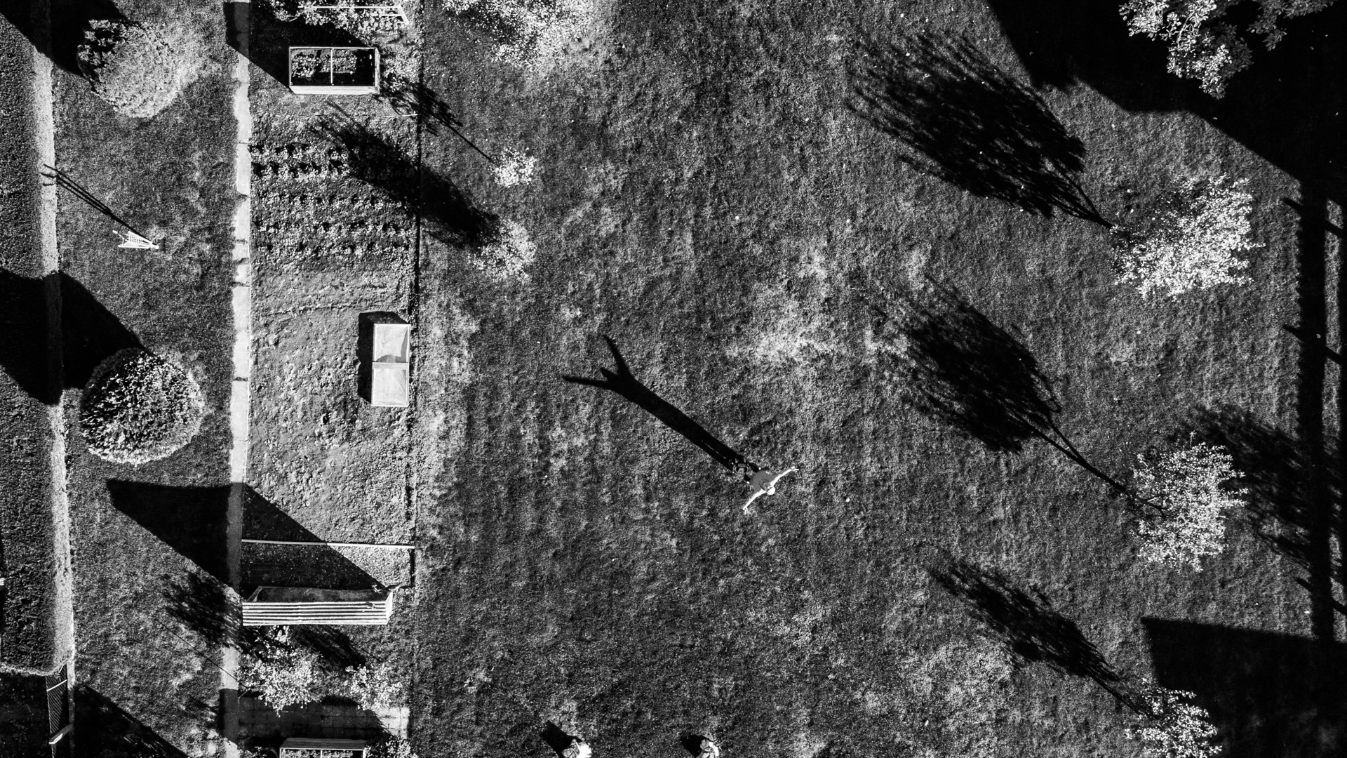 Draufsicht auf einen Garten mit Personen in s/w