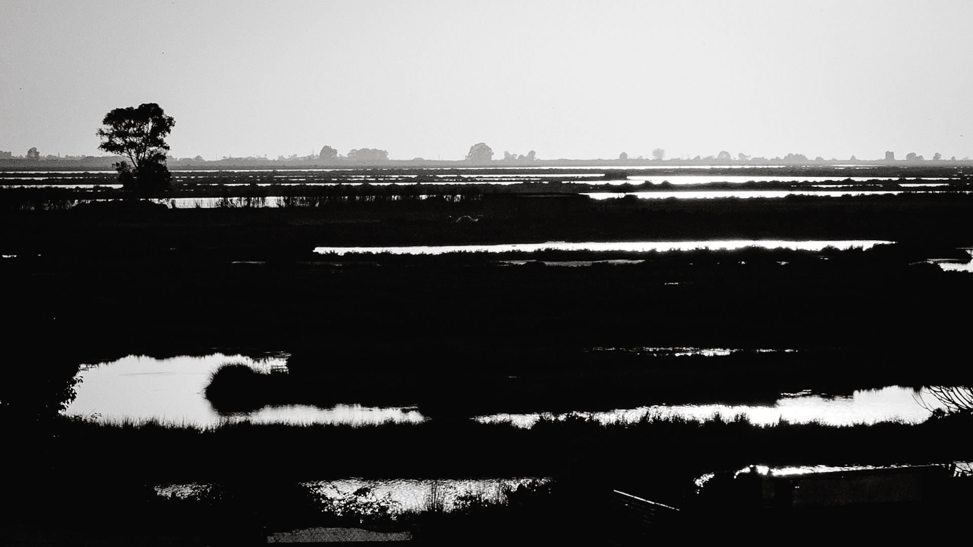 Blick über Fließe in denen sich die Sonne spiegelt