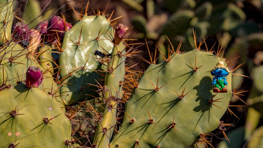 Eine Schlumpffigur steht auf den Stacheln eines Kaktusses