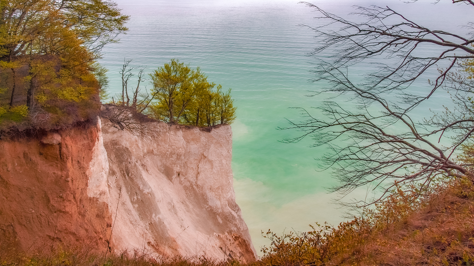 Kreidefelsen in Møns Klint Dänemark