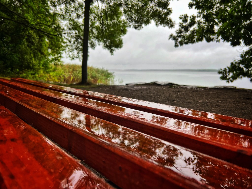 Nasse Holzbank am Senftenberger See