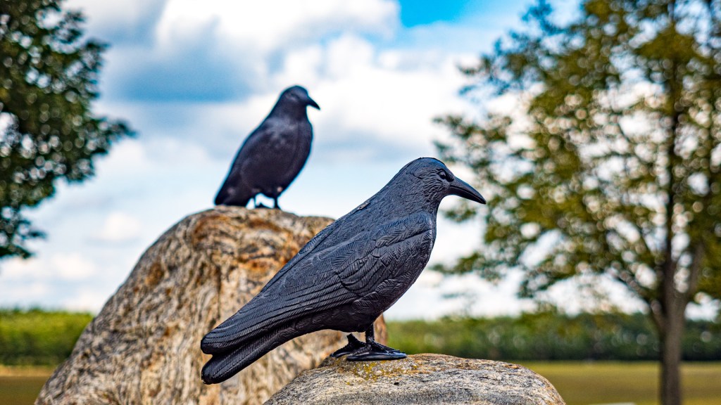 Zwei Raben auf Steinsockel