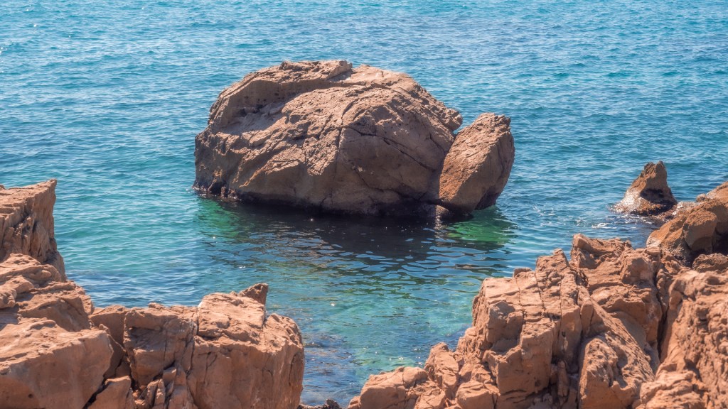 Ein Felsen im Wasser, der wie eine Schildkröte aussieht