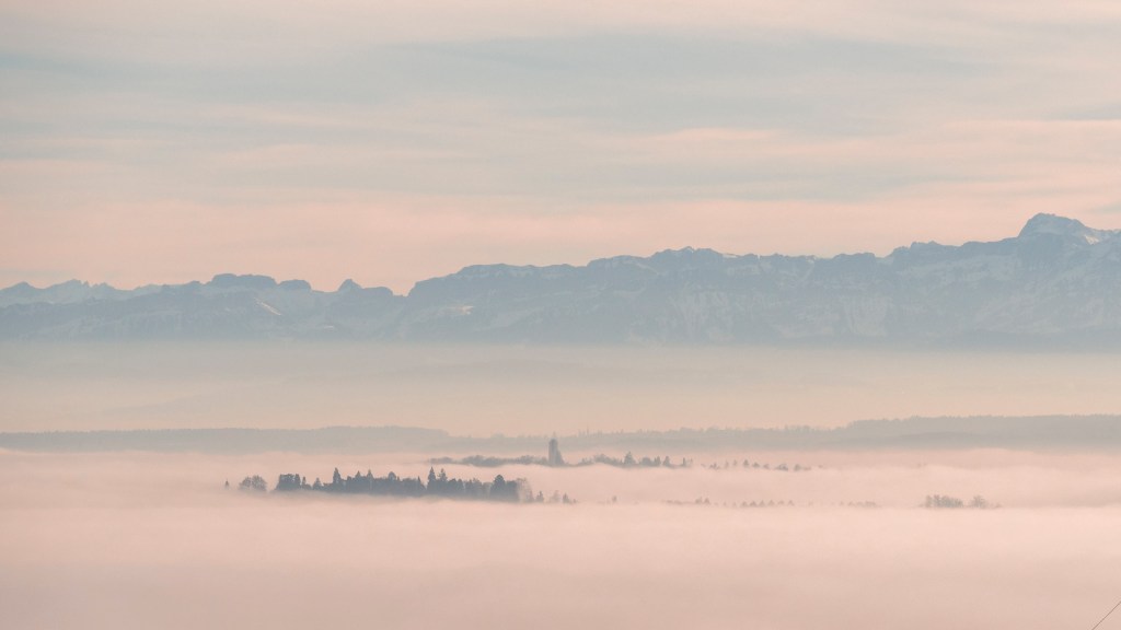Die Insel Mainau ragt aus dem Nebel hervor