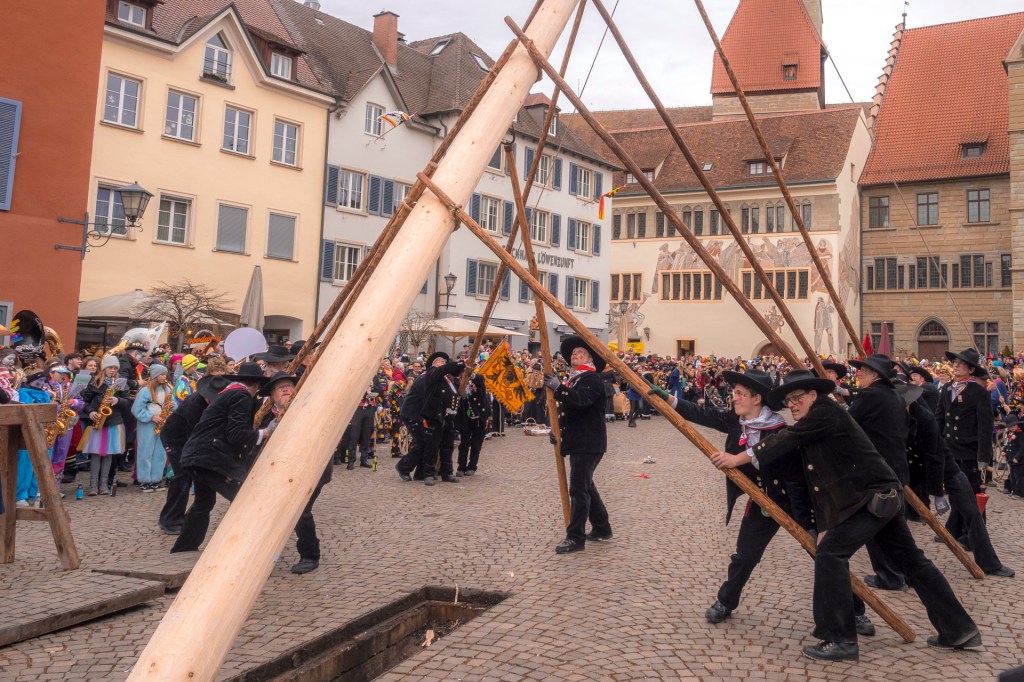 Der Narrenbaum 2024 in Überlingen