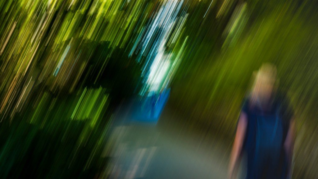 Wischbild von der Insel Mainau (ICM)