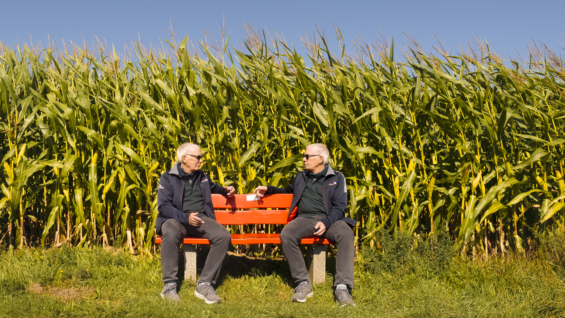 Zwei Männer auf einer roten Bank, dahinter ein Maisfeld