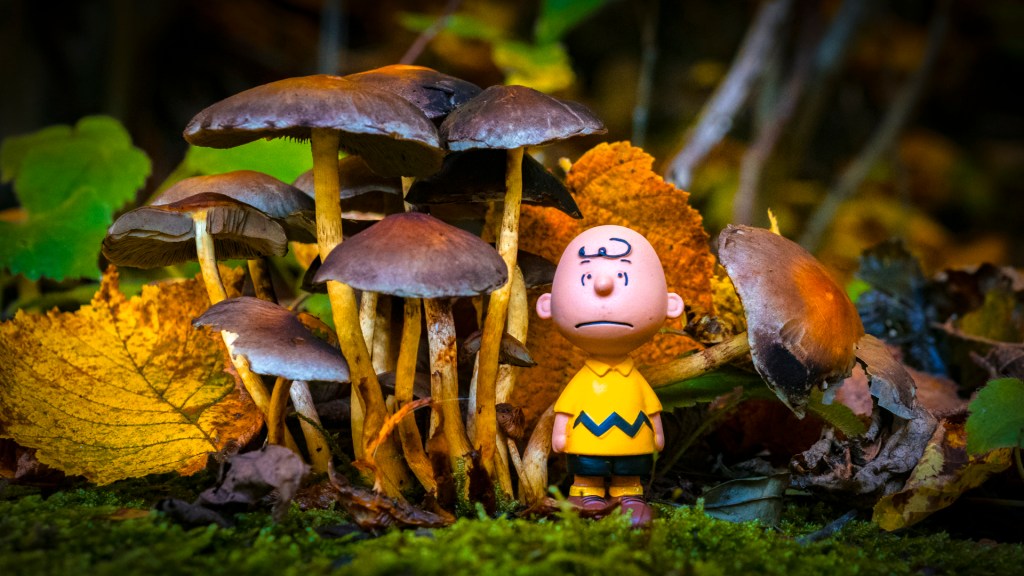 Pilze mit einer Charlie Brown Figur