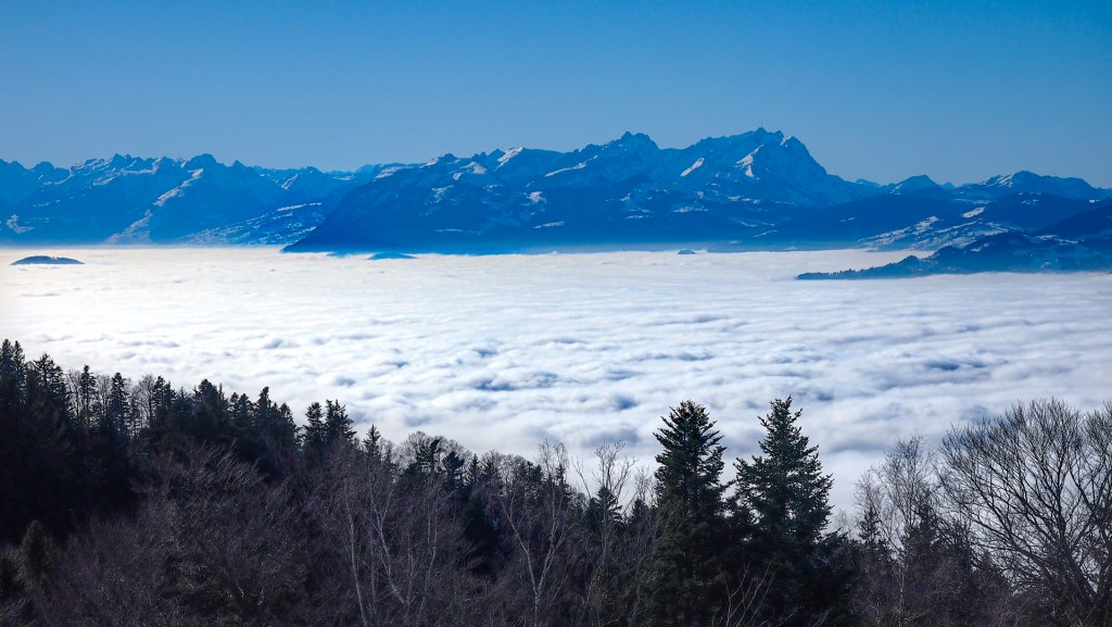 Über dem Rheintal am Bodensee liegt eine dicke Wolkenschicht. Nur die Alpen sind zu sehen.