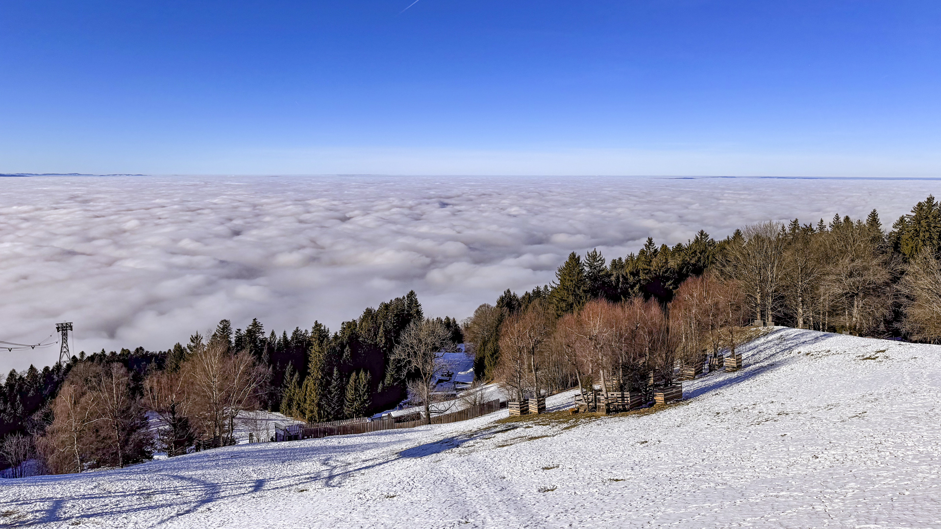 Blick vom Pfänder auf dicke Wolken die den Bodensee bedecken