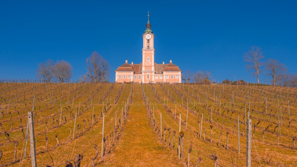 Das Kloster Birnau, im Vordergrund ein Weniberg im Winter