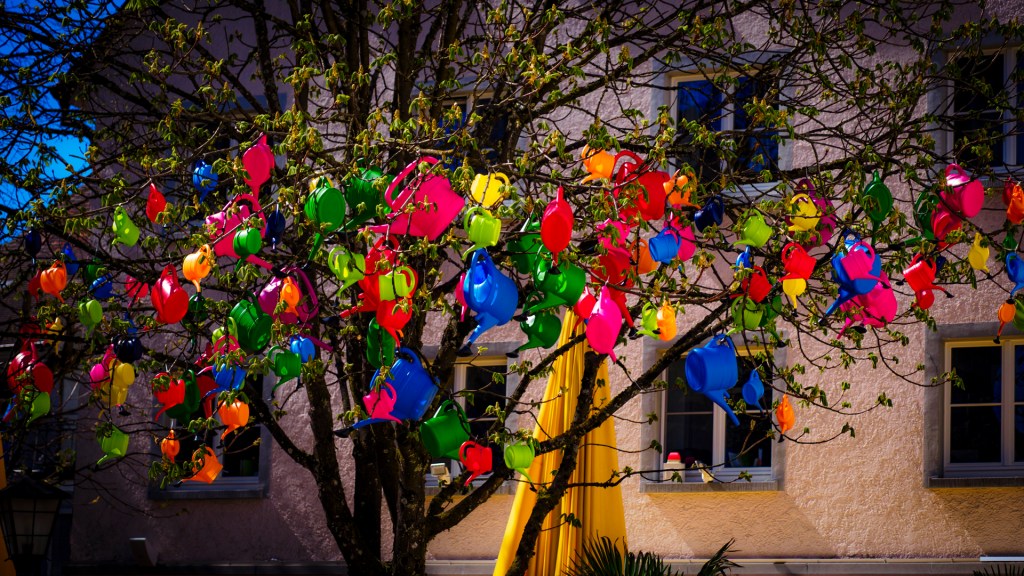 Gießkannen an einem Baum