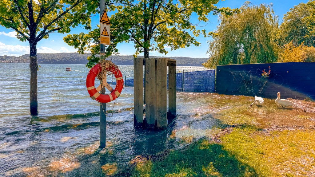 Hochwasser in Überlingen am Pflanzenhaus